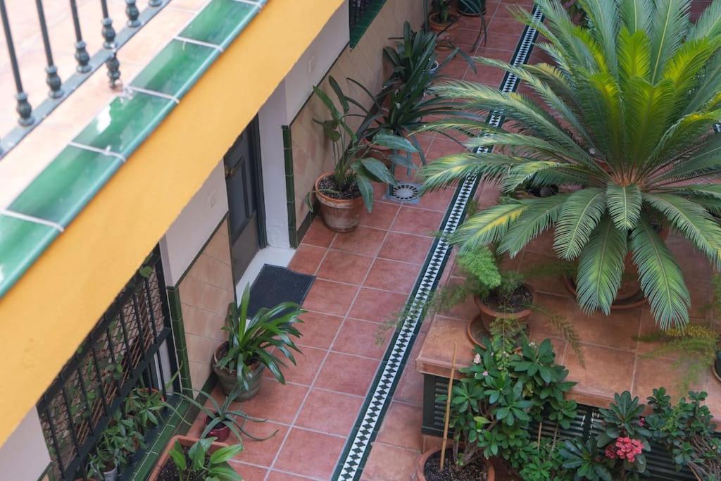 Apartamento Junto A Las Setas De Sevilla Экстерьер фото